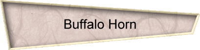 Buffalo Horn